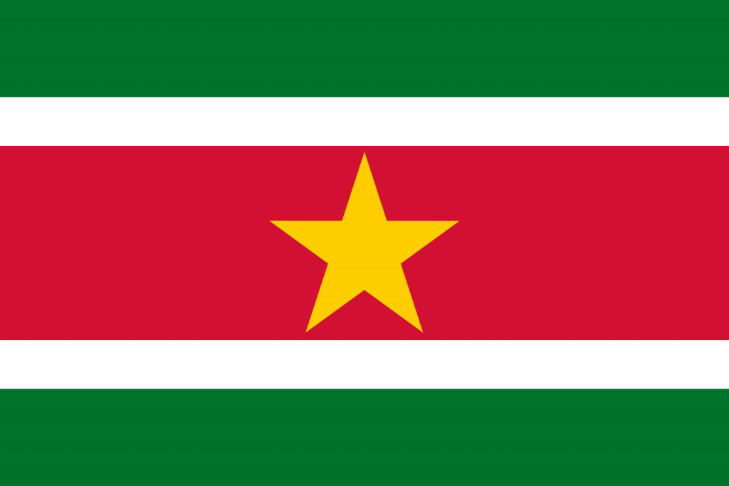 Facebook and Instagram user demographics in Suriname – August 2017
