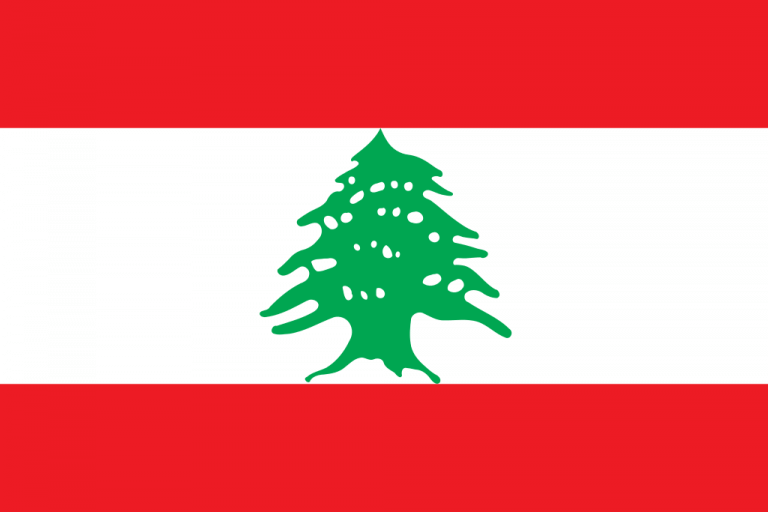 Facebook and Instagram user demographics in Lebanon – August 2017