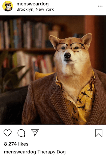 Menswear Dog instagram post