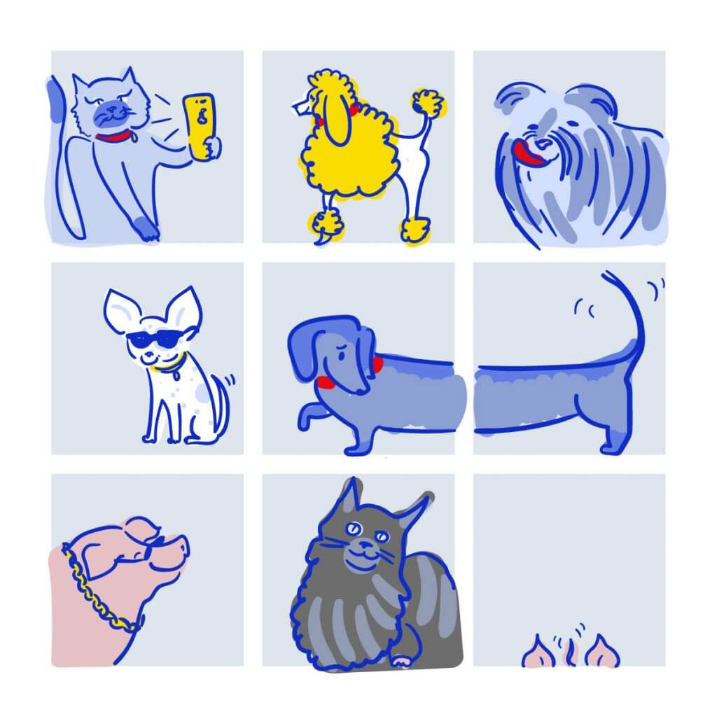 Top Pet Influencers on Instagram AD 2018