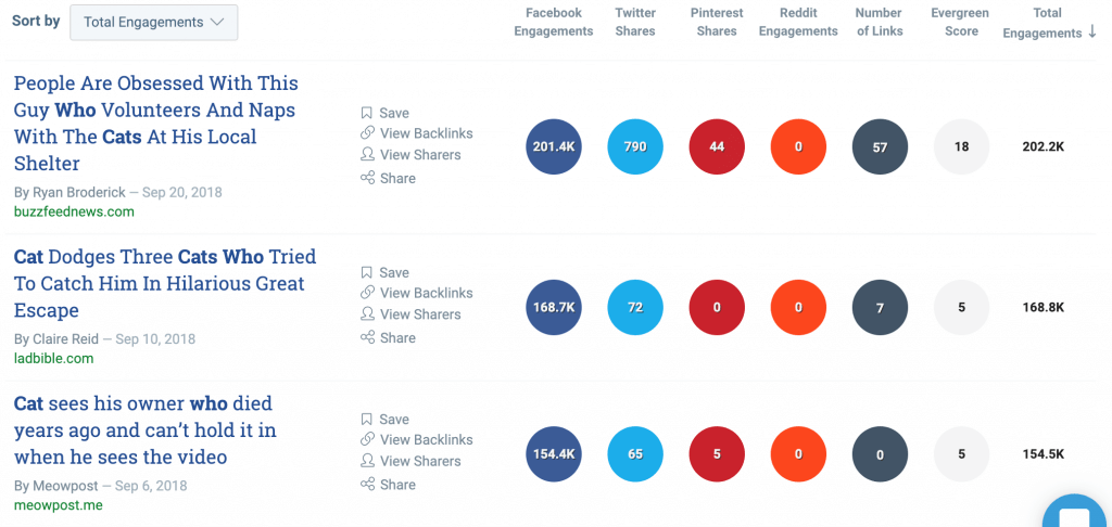 buzzsumo dashboard