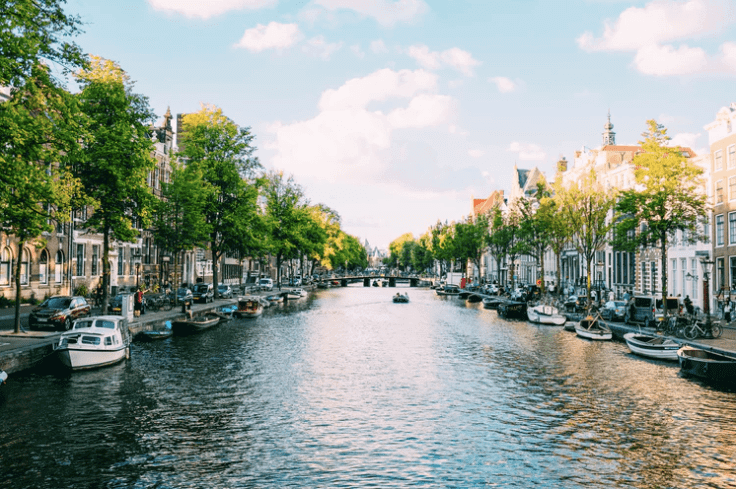 Social media users in the Netherlands & Belgium