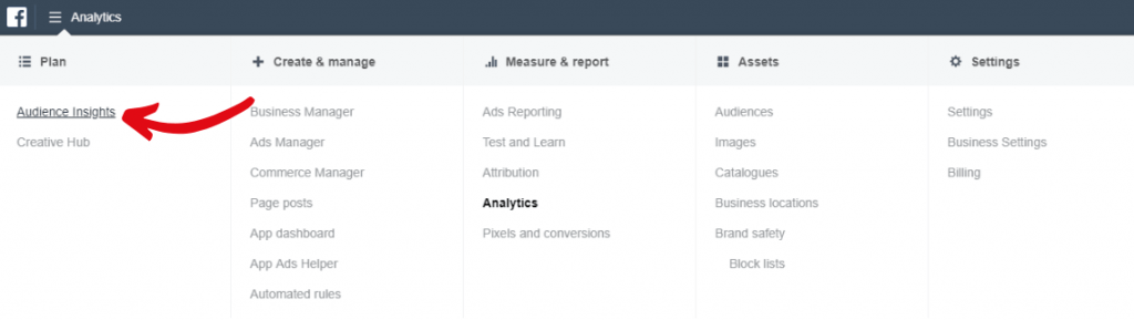 How to access Facebook Audience Insights