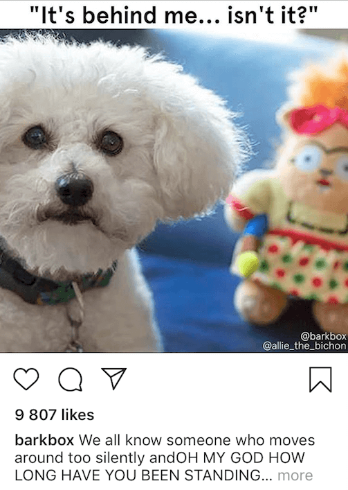 memy na Instagramie