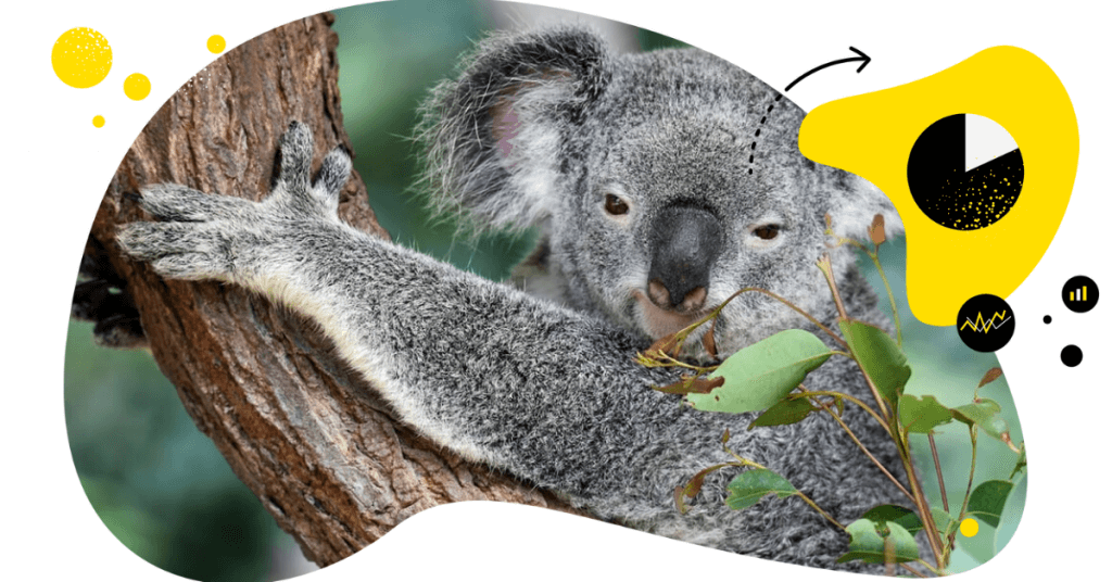 Instagram user demographics in Australia – March 2020 UPDATE