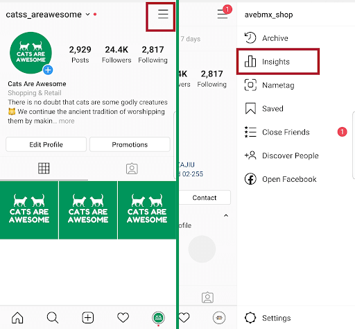 Instagram Insights