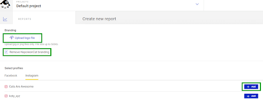 White label reporting in NapoleonCat