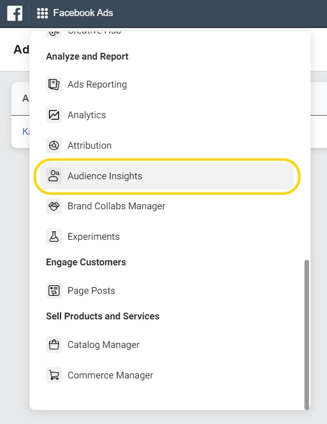 Facebook audience insights
