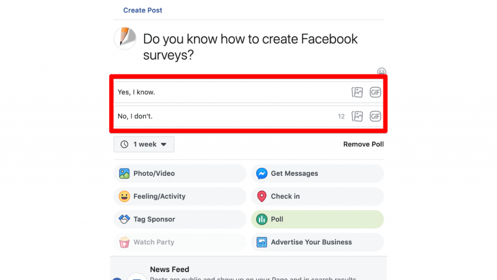 Facebook survey