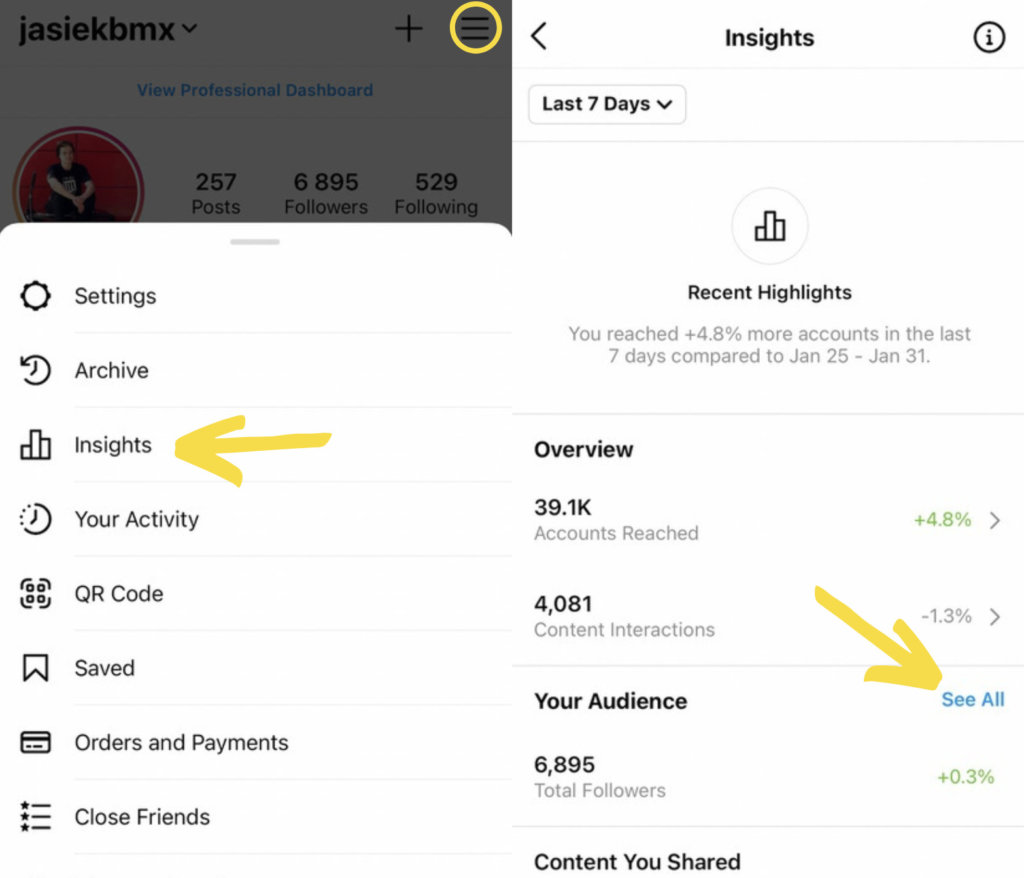 Instagram follower demographics - accessing Instagram Insights