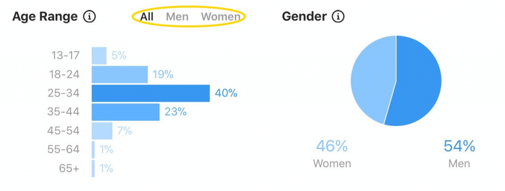 Instagram follower demographics