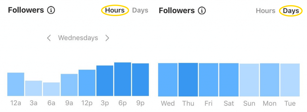 Instagram follower demographics