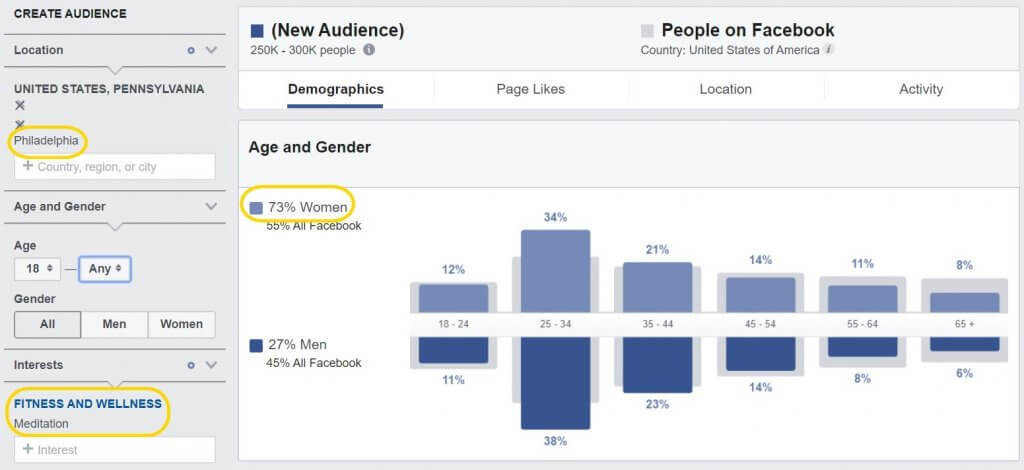 facebook audience insights