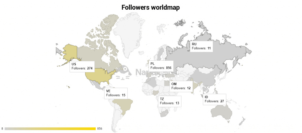 Instagram follower demographics