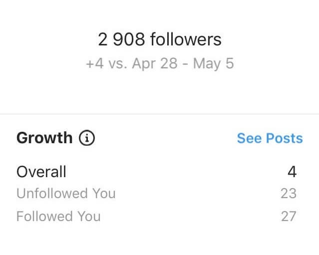 Instagram follower demographics