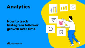 How to track Instagram follower growth over time with NapoleonCat