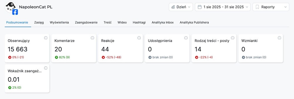Sekcja Podsumowanie w Analityce NapoleonCat.