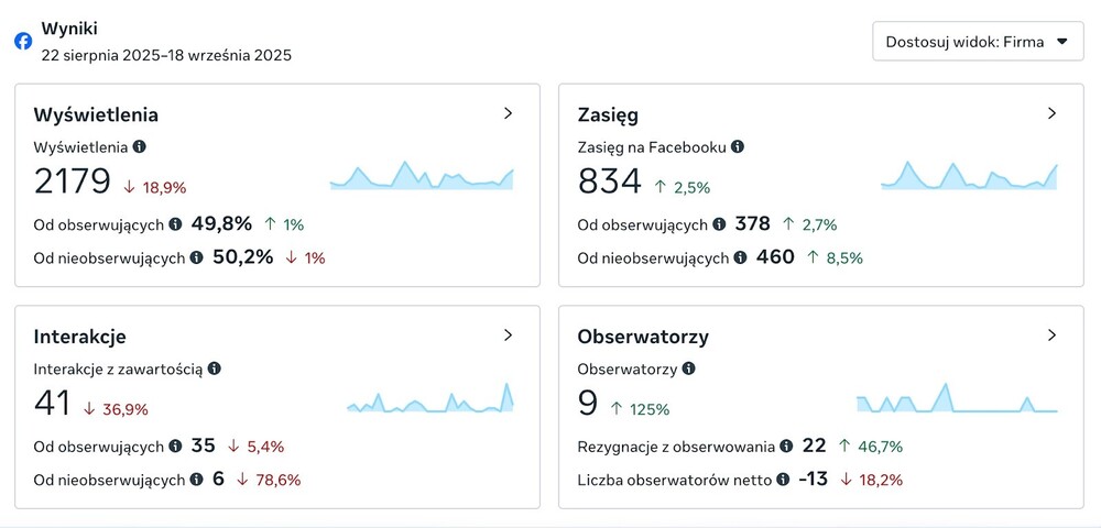 Przegląd wyników w narzędziu Meta Business Suite.