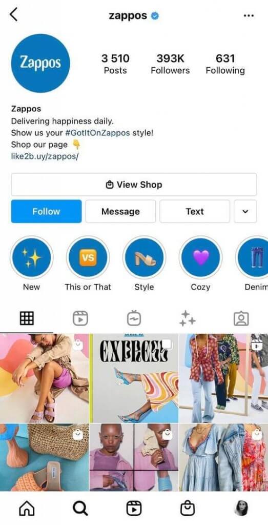 Social Media for eCommerce - zappos ig profile