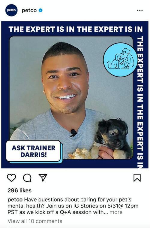 How to Start a Pet Store - ig post promoting q&a