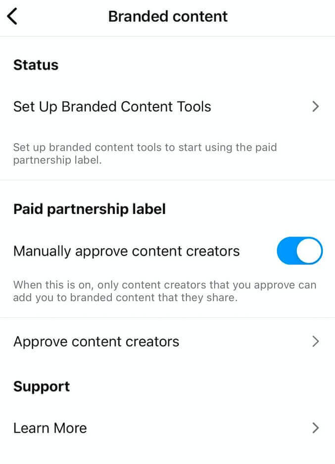 branded content instagram - paid partnership label settings
