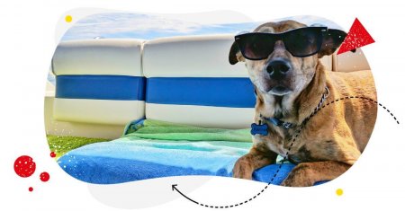 Gen Z Memes: Elevate Your Meme Game To Capture the Gen Z Audience