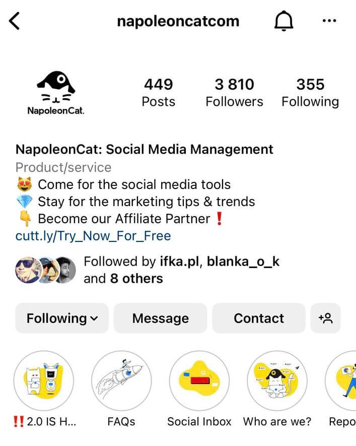 Social Media Audit - napoleoncat's ig profile