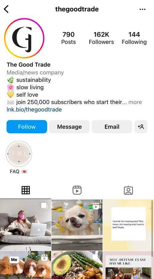 Aesthetic Instagram Bio - thegoodtrade