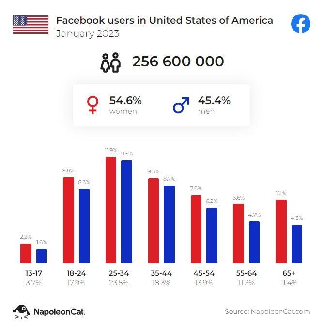 social media experts - fb users in usa