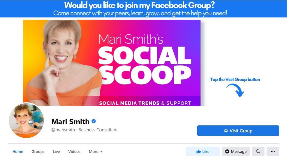 social media experts - mari smith