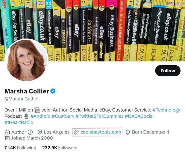 social media experts - marsha collier