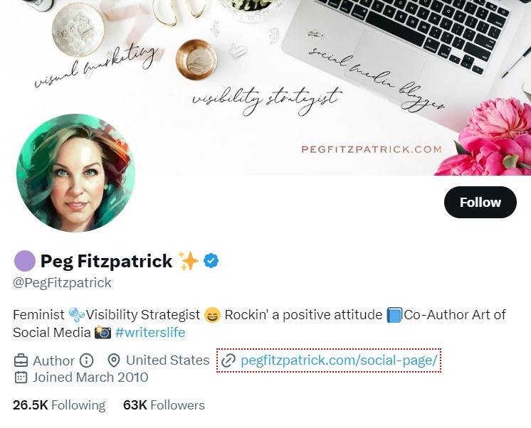 social media experts - peg fitzpatrick