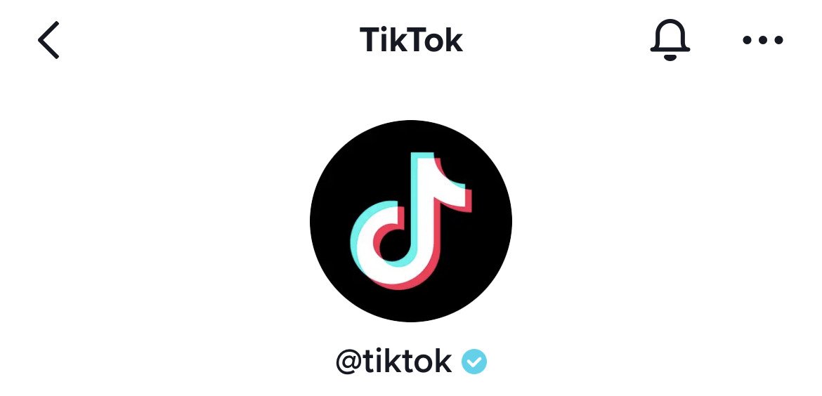 How to Get Verified on TikTok - verified on tiktok