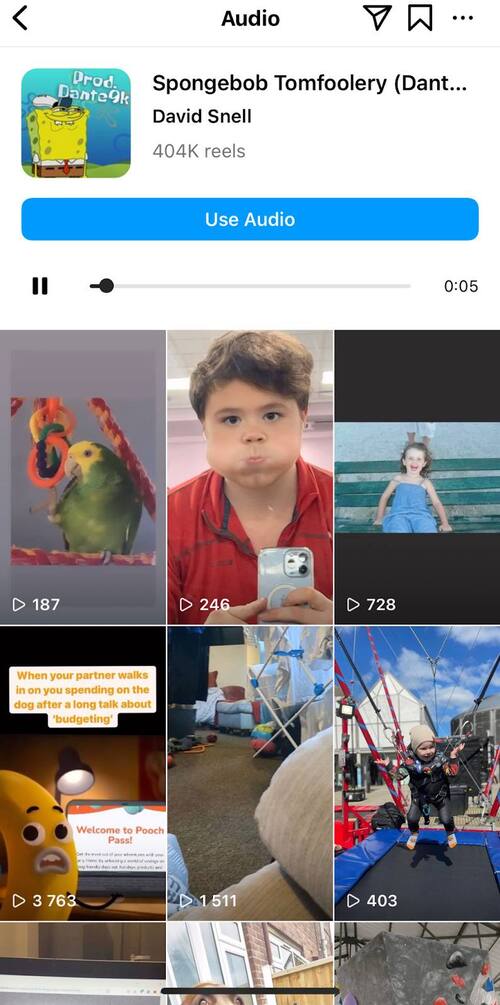 How to Find Trending Audio on Instagram - spongebob audio