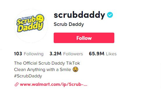 How to add link to tiktok bio - scrubdaddy