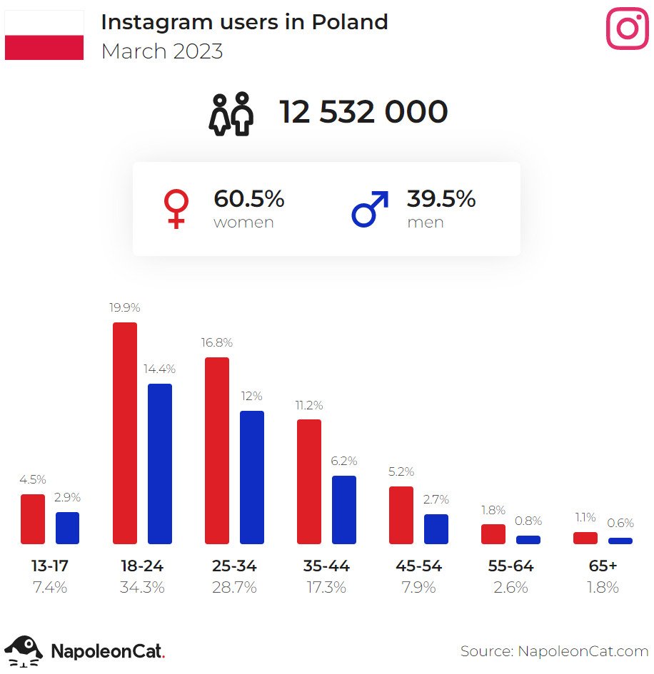 Jak wypromować firmę na Instagramie - ig users in poland