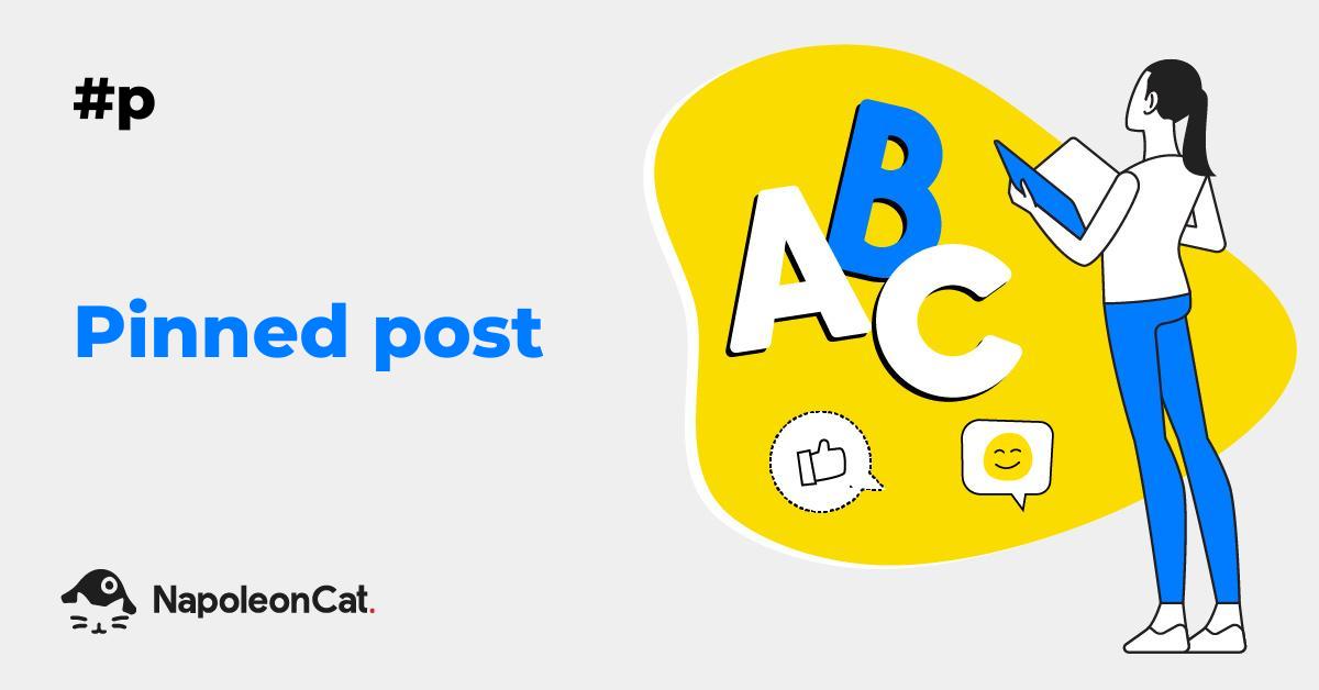 What is a pinned post? Social Media Dictionary by NapoleonCat