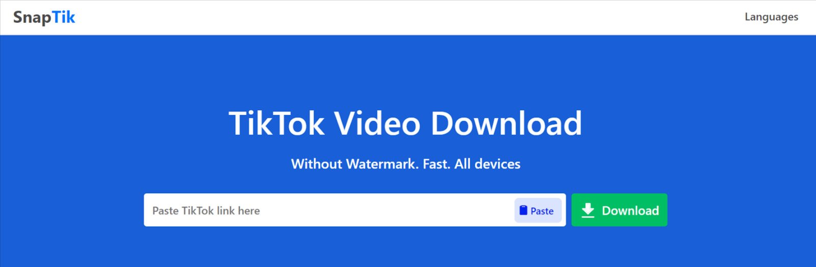 How to Remove TikTok Watermark - snaptik