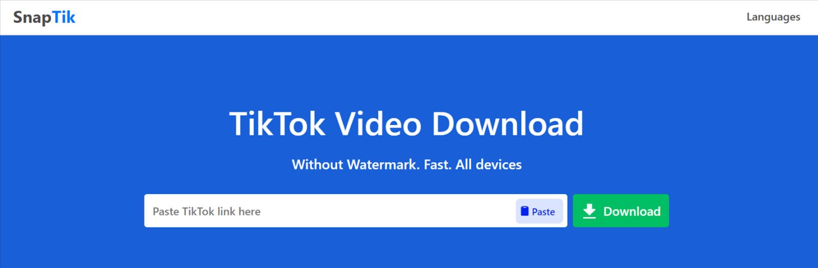 6 Tools] How to Remove TikTok Watermarks for Instagram