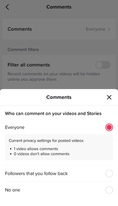 How to Turn on Comments on TikTok - comments menu