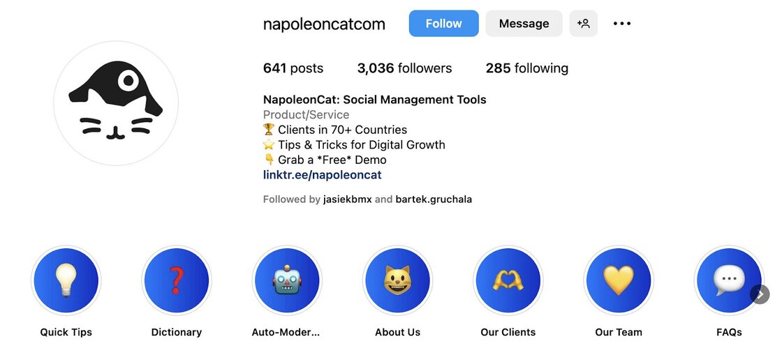 instagram bio ideas - napoleoncat