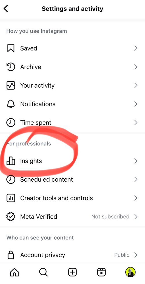 instagram insights - accesing native Instagram insights