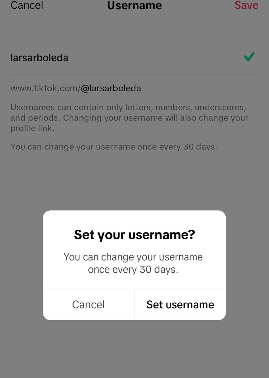 How to Change TikTok Username - set your username