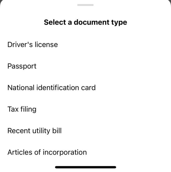 How to Get Verified on Instagram - select a document type