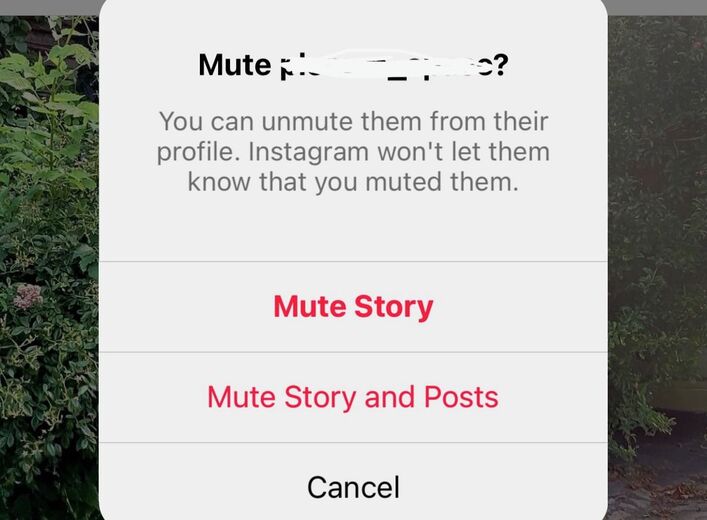 how to mute instagram stories - selecting which content to mute