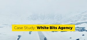 Does Moderation Pay Off? White Bits Agency Case Study
