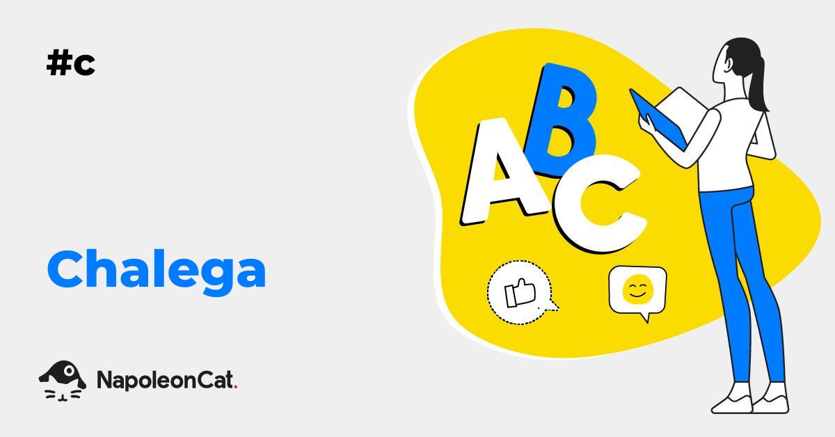 ‘Chalega’ Meaning Social Media Dictionary by NapoleonCat