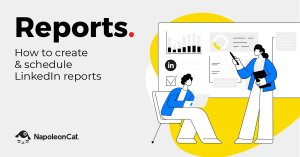 How to create and schedule LinkedIn analytics reports