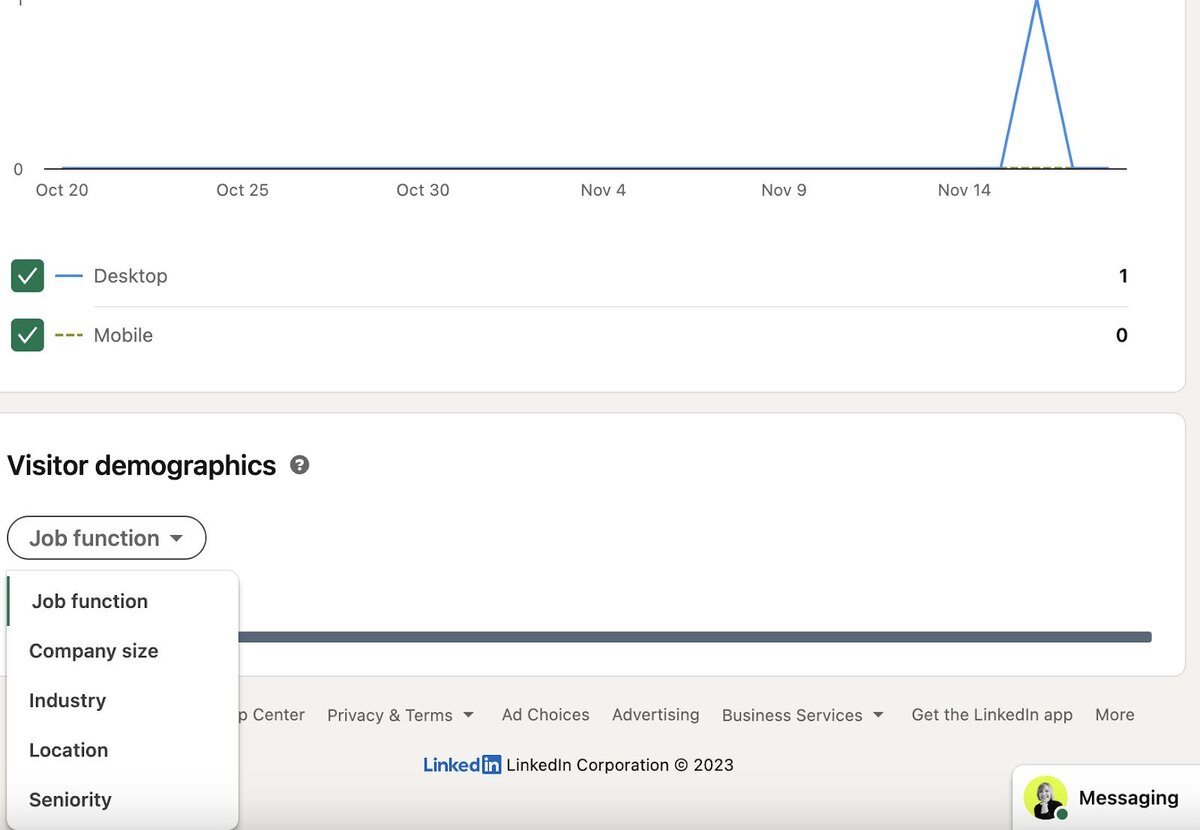 LinkedIn Analytics - visitor demographics