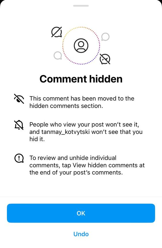 Comment hidden on Instagram